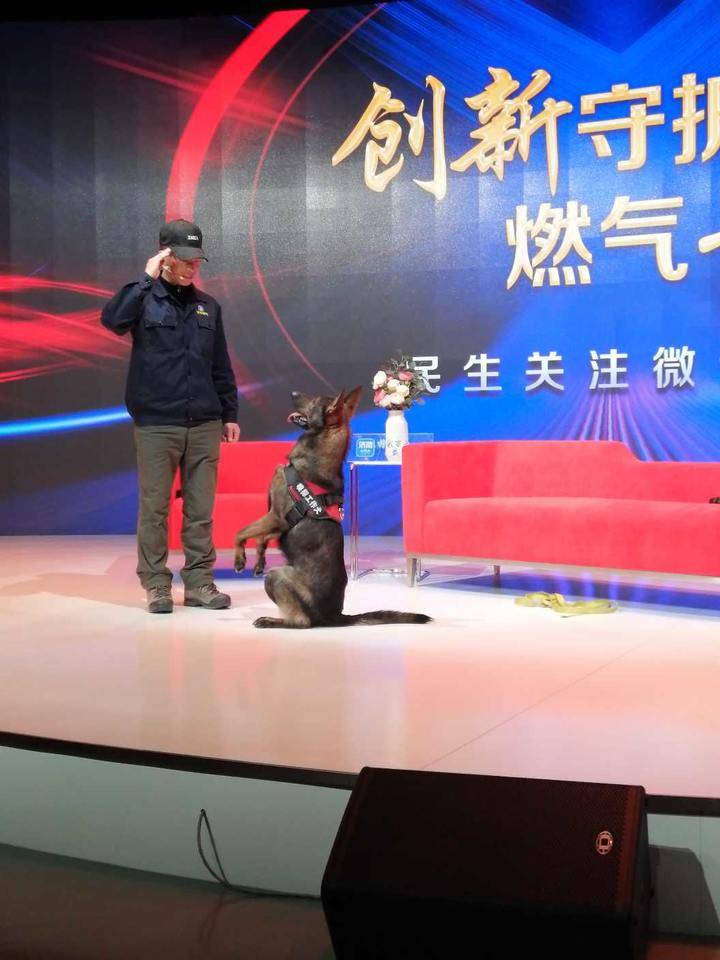 齐鲁晚报网-山东新闻门户 传播品质资讯